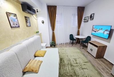 Apartament cu 2 camere semidecomandat, mobilat în Unirii - 6