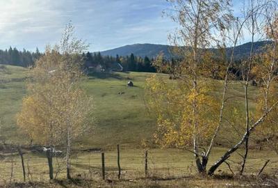 Teren in Cala?ele Padure 4488mp - 1