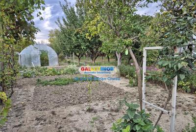 Potigrafu | Miroslavesti | Casa | 120 mp | Teren 1660 mp - 5