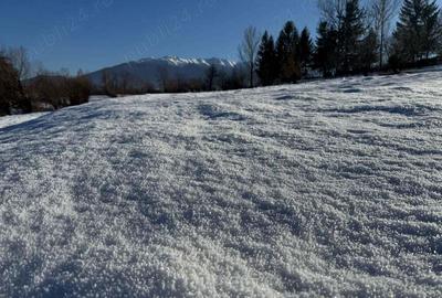 Teren intravilan intre 500 si 1000 mp cu vedere panoramica in zona Bran Tohanita - 3