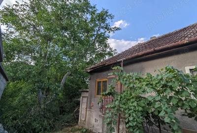 Casă cu 3 camere în Central - 5