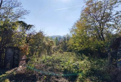 Teren 10000mp.Loc Calvini - 5