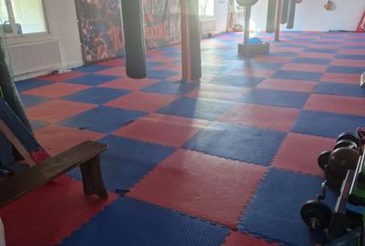 Casă cu 3 camere în Moșnița Nouă - 5