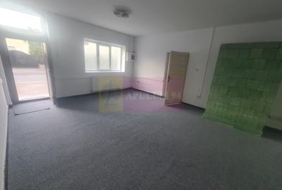 Casa de vanzare in Campina (spatiu comercial) - Zona Lidl Casa de vanzare in Campina (spatiu comercial) - Zona Lidl - 10