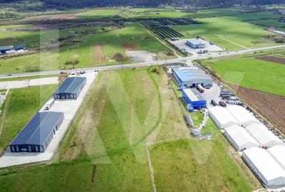 Oportunitate de Investitie sau Constructie Hala - Teren 3.900 mp | Talmaciu - 7