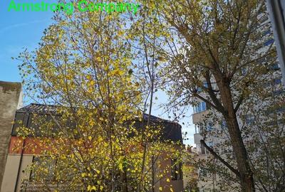 Vanzare apartament 3 camere Polona - zona centrala, linistita si - 1