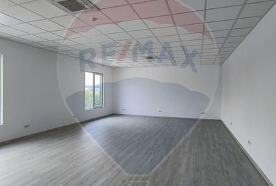 Spațiu industrial hala 572 mp de inchiriat - 14