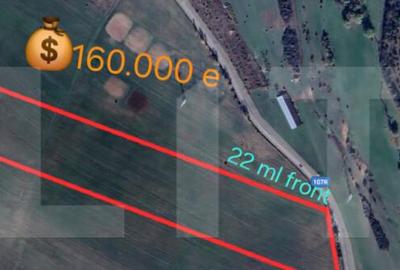 Teren de 5000 mp, în Ciurila - 4