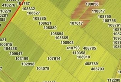 Teren agricol extravilan de 12500 mp, în Sânandrei - 4