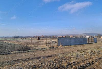 Teren de 8700 mp, în Livada (Iclod) - 6