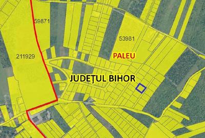 Teren de 1000 mp, în Săldăbagiu de Munte - 4