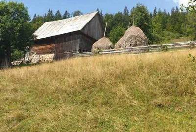 Teren de 60000 mp, în Vadu Moților - 6