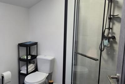 Apartament cu 4 camere decomandat, mobilat în Valea Lupului - 6