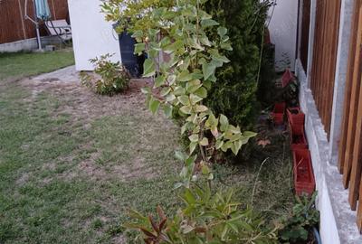 Inchiriez apartament 3 camere in bloc nou - 10