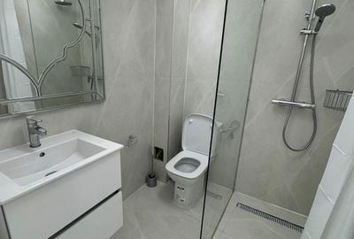 Apartament 2 camere SUPERB cu CURTE Tunari - 8
