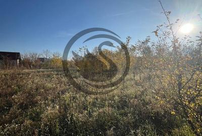 Teren intravilan de vanzare | 12.650 mp | Ghirdoveni, | Comision 0% - 12