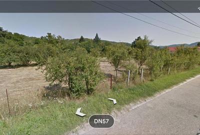 Spațiu comercial, în Eșelnița - 5