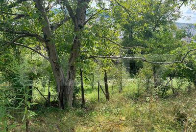 Casa Str. Negoiului, 2.249 mp teren, zona lini?tita, ved - 3