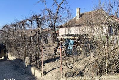 Casă cu 2 camere în Sânnicoară - 2