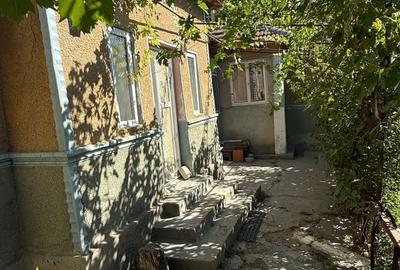 Casă cu 4 camere în Lumina - 3