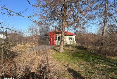 Casă cu 2 camere cu Teren 2600 Mp în Central - 2