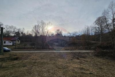 Teren Plaiu_Provita de Sus- intravilan 5373 mp_deschidere... - 2