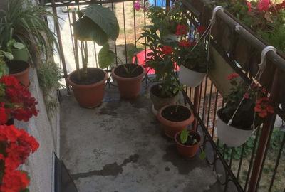 Vand apartament ultracentral, la casa, in Lugoj - 8