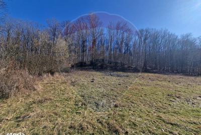 Spațiu comercial, în Pâncești - 18