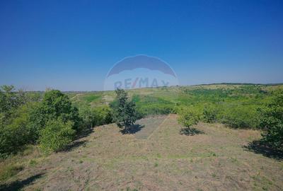 Casă cu 6 camere cu Teren 1253 Mp în Spitalul Județean - 5