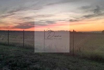 Teren intravilan 2078 mp langa padure - Piscu Ciolpani Snagov - 3