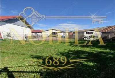 Spațiu comercial, de 500 mp, în Buciumi - 6