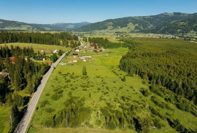 Teren Construcții intravilan de 12743 mp, în Șaru Dornei - 18