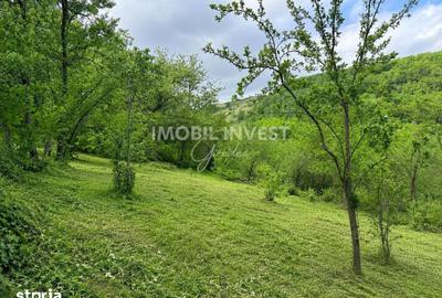 Casă cu 5 camere cu Teren 5280 Mp în Central - 10