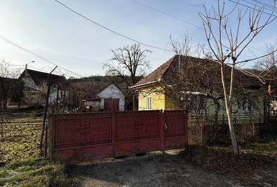 Vand casa + teren Targu-Mures - 2