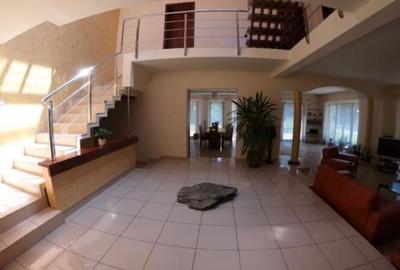 Proprietate inedita cu teren de 4400, si deschidere cu ponton pe Bega - 12