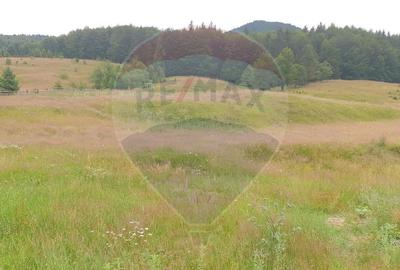 Teren extravilan de 20000 mp, în Dălghiu - 6