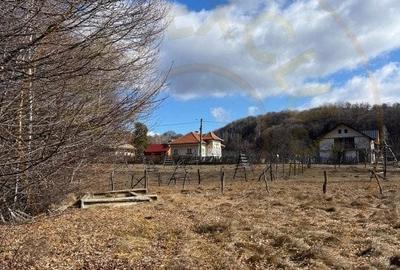 Teren Cicanesti Arges, la 10 KM de Transfagarasan - Comision 0% - 2