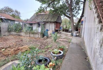 Casa zona Baritiu - 13
