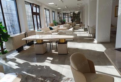 Spațiu comercial, de 485 mp, în Șagului - 6