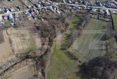 Casă cu 2 camere cu Teren 3800 Mp în Costești - 2