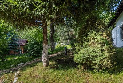 Vila Exclusivista Drumul Poienii / Pretabil Regim Hotelier - 3