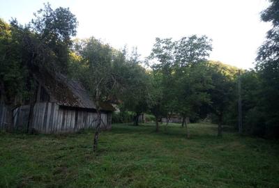 Casă cu 3 camere în Exterior Vest - 8