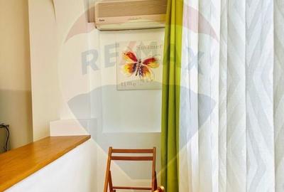 Apartament cu 2 camere semidecomandat, mobilat în Unirii - 9