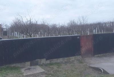 Teren de 966 mp, în Păuca - 7