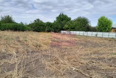 Spațiu comercial, în Movilița - 5