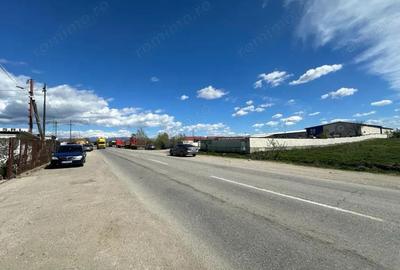 Inchiriere teren intravilan situat in Targu Jiu - strada Narciselor - 4