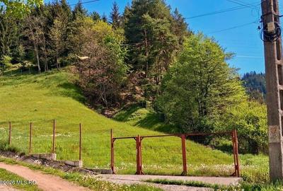 Teren Construcții intravilan de 1540 mp, în Lerești - 2