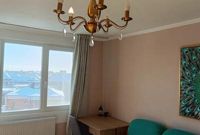 Proptietar inchiriez apartament cu 2 camere Tache Ionescu 450 euro - 8