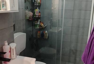 Vanzare apartament 3 camere Pajura - 9