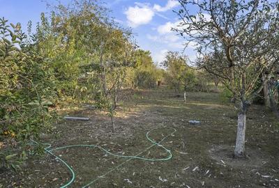 COMISION 0% | 2 Case cu Spatiu Comercial | Teren 1019mp | 540 eur/mp - 33